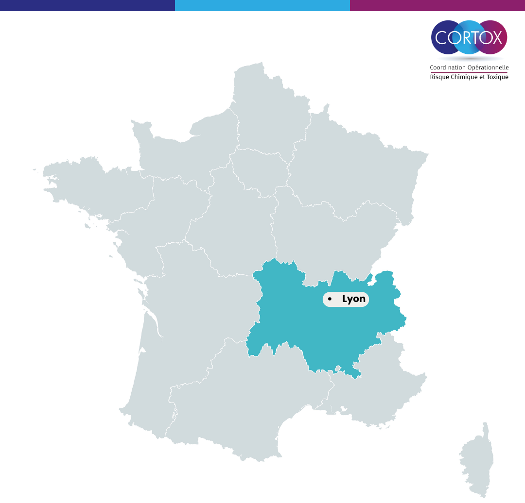 Carte ESRR CHU de Lyon